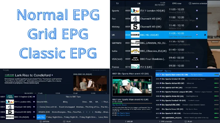 EPG type