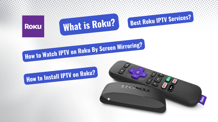 roku-iptv-guide-2